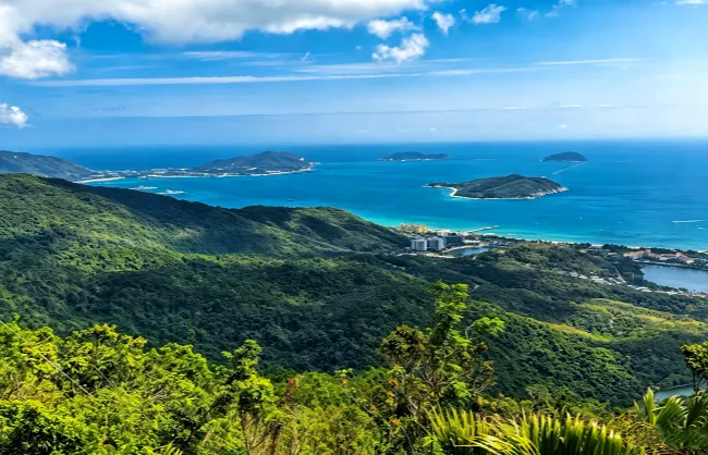 yalong-bay-tropical-paradise-forest-park | China Xian Tour: Private & Tailor-Made China Tours Yalong Bay Tropical Paradise Forest Park