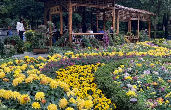 chrysanthemum exhibition at peoples park | China Xian Tour: Private & Tailor-Made China Tours chrysanthemum exhibition at peoples park