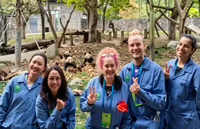 dujiangyan-panda-volunteers | China Xian Tour: Private & Tailor-Made China Tours Customers experiencing the Dujiangyan Panda Volunteer Program