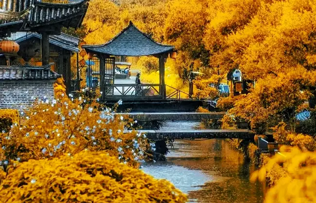 ginkgo-village-in-tengchong | China Xian Tour: Private & Tailor-Made China Tours ginkgo-village-in-tengchong