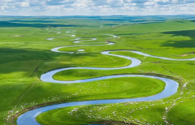 Aerial view of a winding blue river snaking through bright green hills with small white sheep scattered across the pastures under a blue sky.