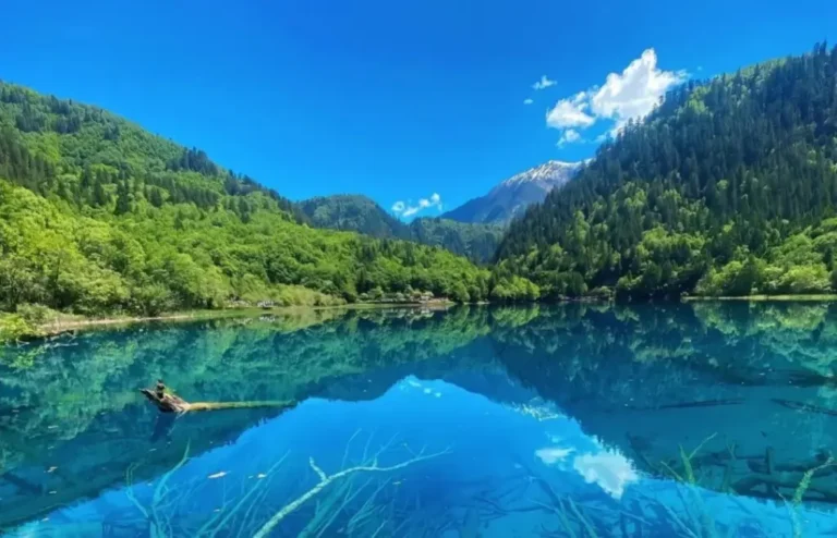 Jiuzhaigou in Summer