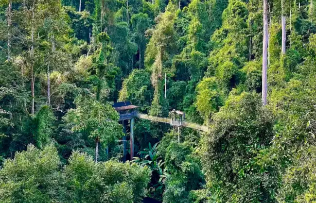 xishuangbanna-september | China Xian Tour: Private & Tailor-Made China Tours xishuangbanna-september