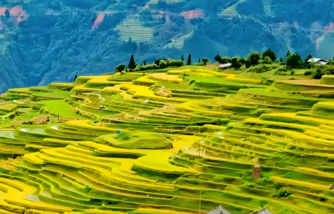 yuanyang-rice-terraces-in-november | China Xian Tour: Private & Tailor-Made China Tours Yuanyang Rice Terraces in November