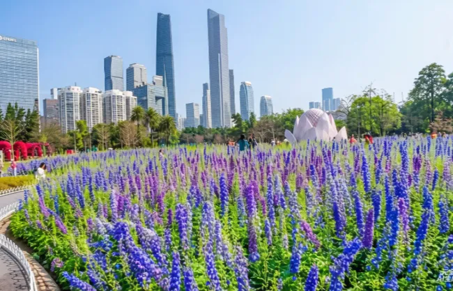 guangzhou spring flower tour | China Xian Tour: Private & Tailor-Made China Tours Guangzhou spring flower tour