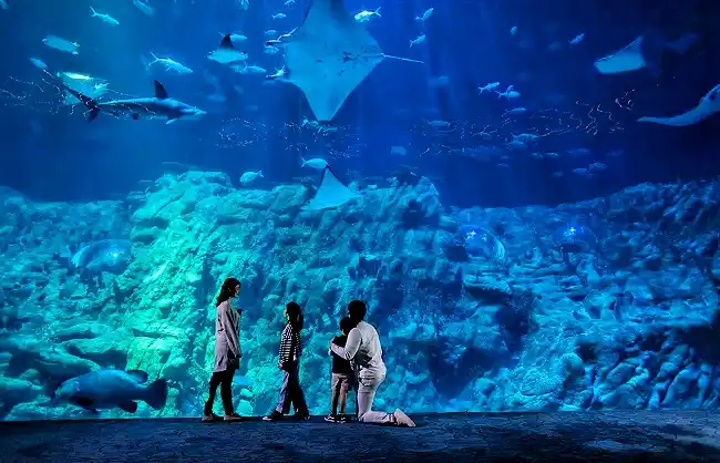 hong-kong-ocean-park