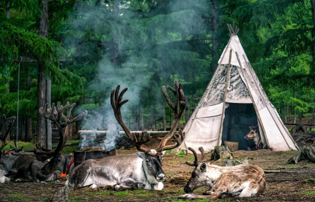 reindeer-tribe | China Xian Tour: Private & Tailor-Made China Tours Visiting Reindeer Tribe in Hulunbuir