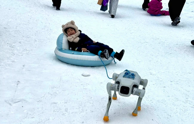 robo-dog-pulled-sled | China Xian Tour: Private & Tailor-Made China Tours Robot dog pulling sled at Xiling Snow Mountain