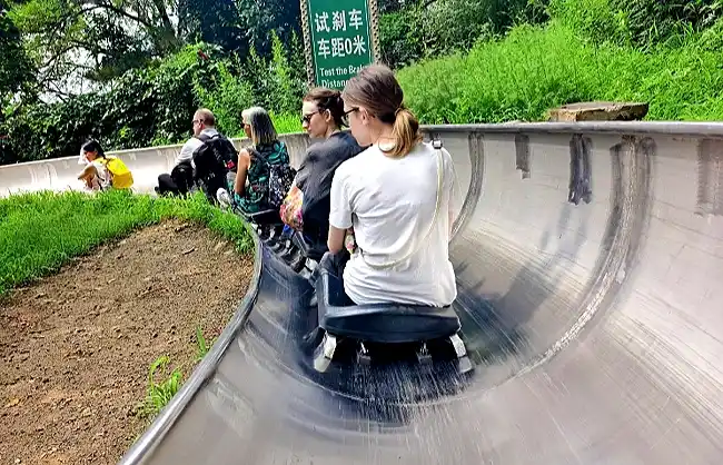 toboggan