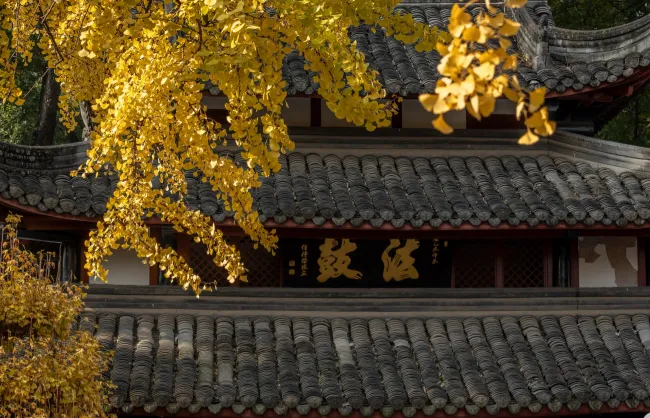wenshu-monastery-novbember | China Xian Tour: Private & Tailor-Made China Tours wenshu-monastery-novbember