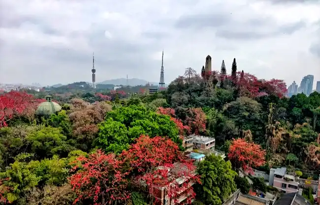 yuexiu-park