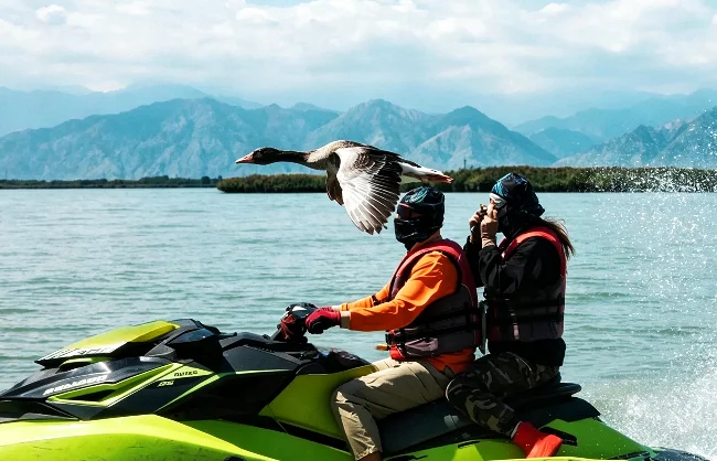 birdwatching-at-shahu-lake-ningxia | China Xian Tour: Private & Tailor-Made China Tours Birdwatching at Shahu Lake Ningxia