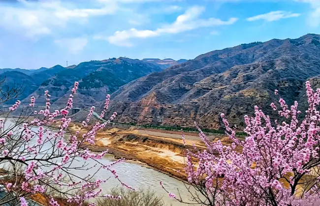 peach-blossoms | China Xian Tour: Private & Tailor-Made China Tours Peach blossoms at Hukou Waterfall