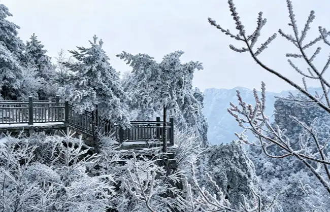 tianzi-mountain-in-winter | China Xian Tour: Private & Tailor-Made China Tours Tianzi Mountain winter snow scenery