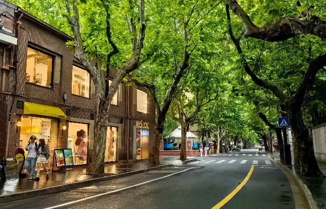 wukang-roads-tree-lined-streets | China Xian Tour: Private & Tailor-Made China Tours Wukang Road’s tree-lined streets