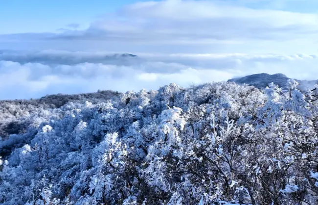zhangjiajie-sea-of-clouds | China Xian Tour: Private & Tailor-Made China Tours Zhangjiajie sea of clouds in winter