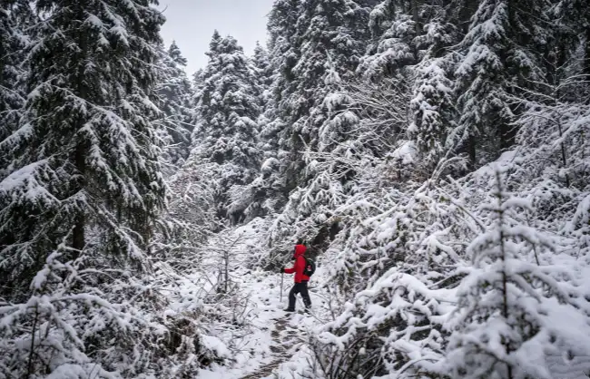 zhangjiajie-winter-hiking | China Xian Tour: Private & Tailor-Made China Tours Zhangjiajie Winter Hiking
