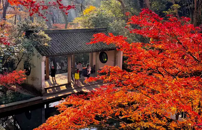 hangzhou-in-autumn | China Xian Tour: Private & Tailor-Made China Tours hangzhou-in-autumn