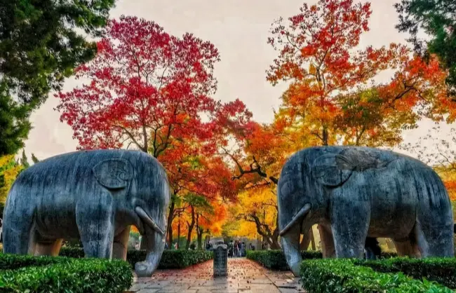 stone-elephant | China Xian Tour: Private & Tailor-Made China Tours Stone elephant statue at Ming Xiaoling Mausoleum