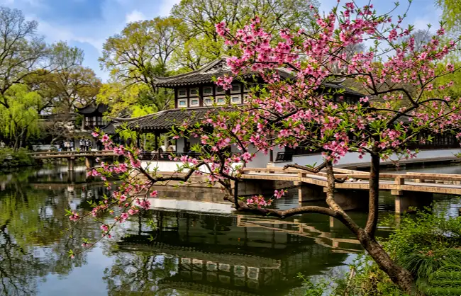 suzhou-spring | China Xian Tour: Private & Tailor-Made China Tours Suzhou spring scenery with blooming gardens