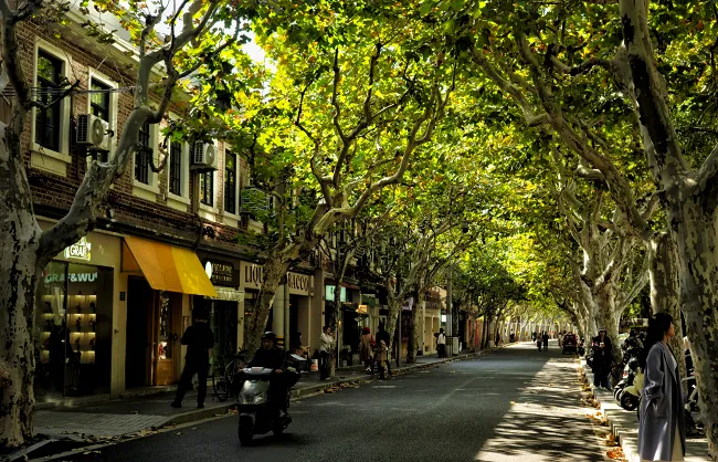 Tree-lined streets and stylish stores in Shanghai Former French Concession